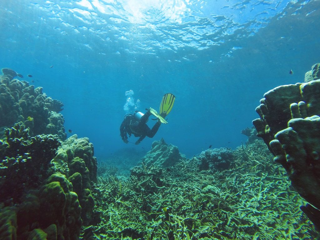 snorkelling