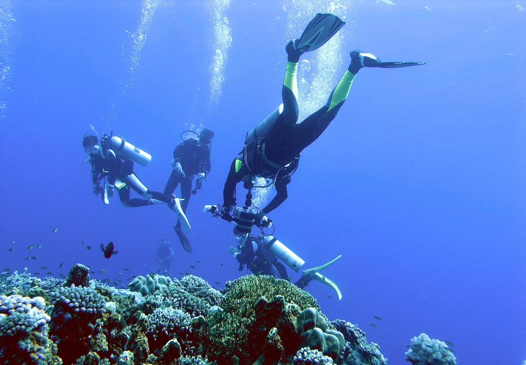 snorkelling