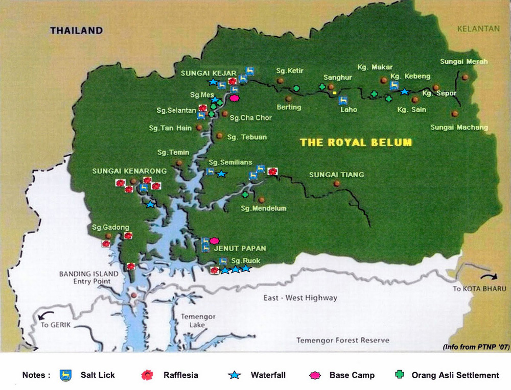 Tarikan Menarik Royal Belum Yang Wajib Anda Teroka