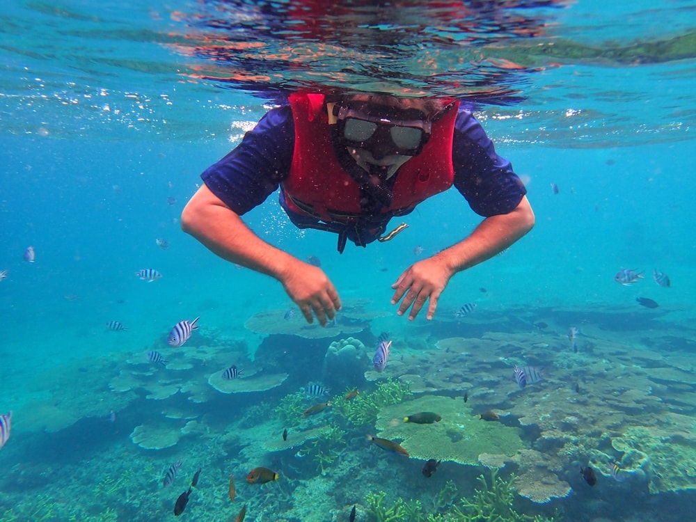 snorkelling