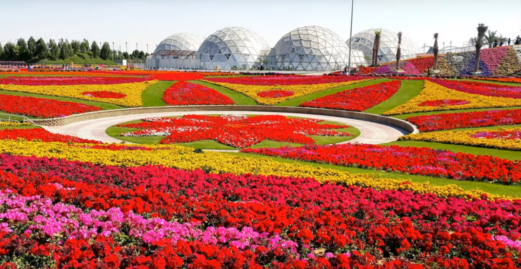 Miracle Garden