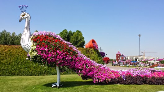 Miracle Garden