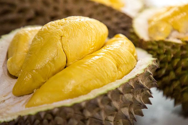 durian