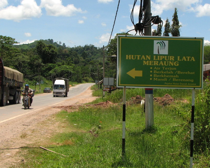 Lata Meraung