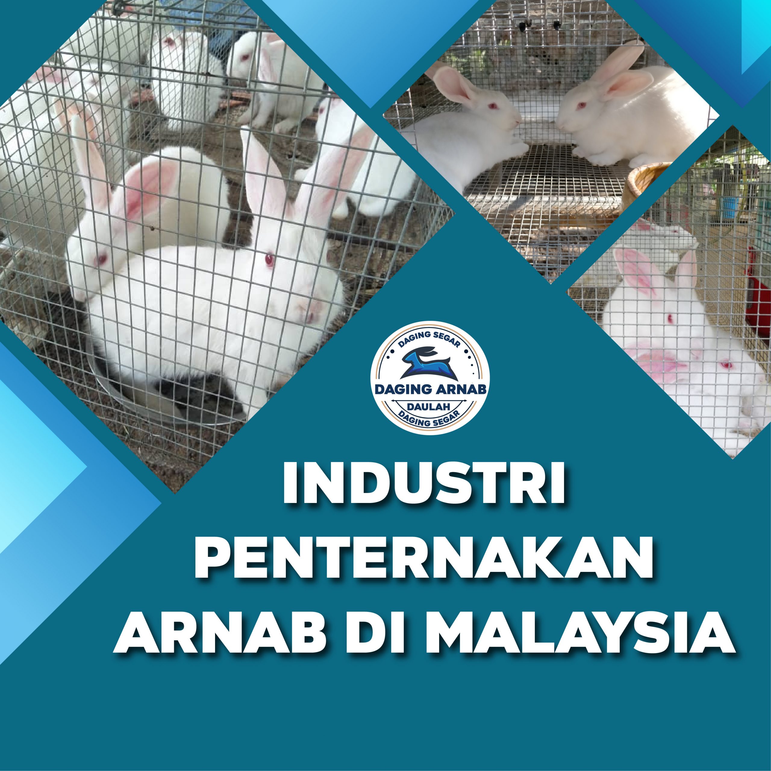 Industri Penternakan Arnab Di Malaysia.