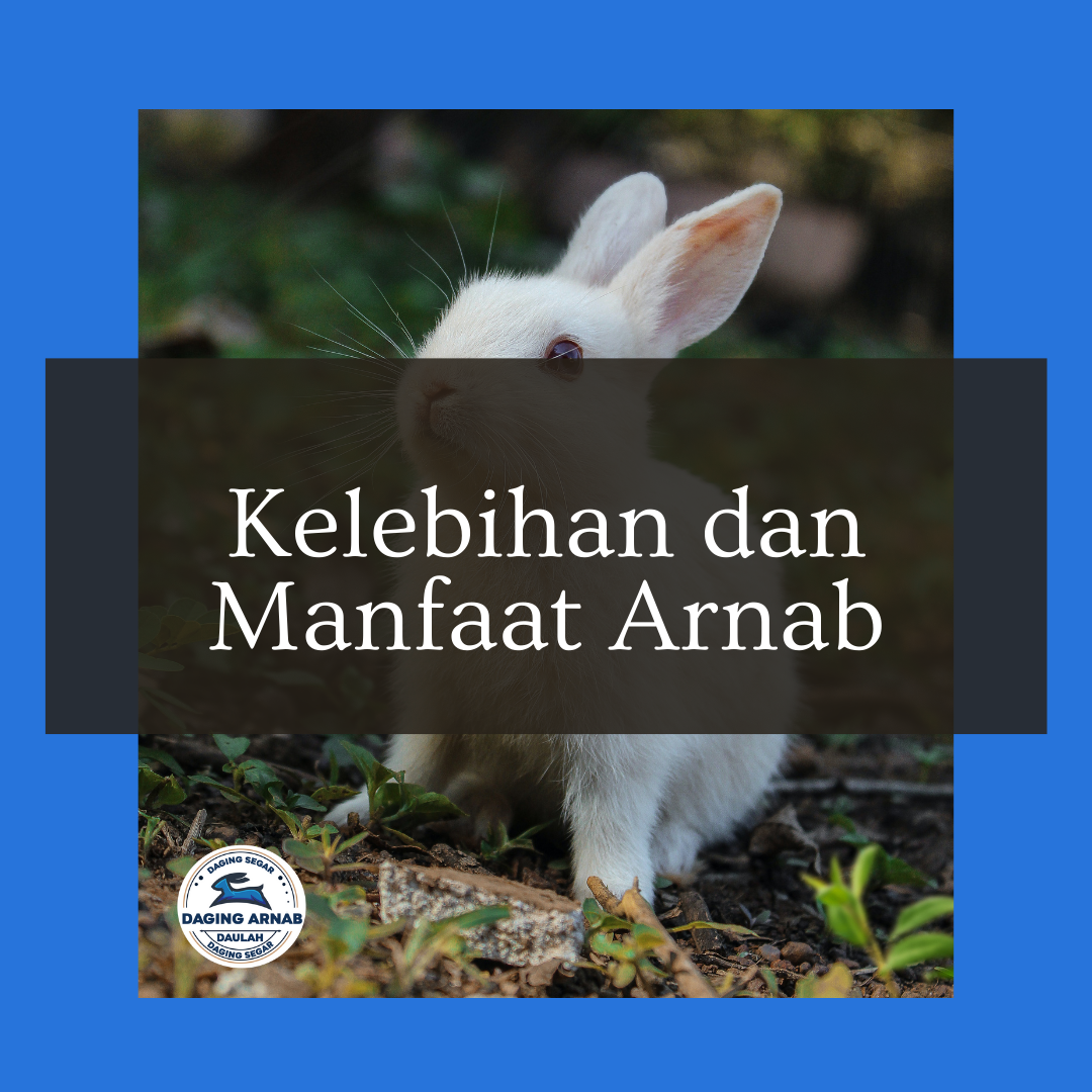 Manfaat Dan Kelebihan Arnab Kepada Manusia