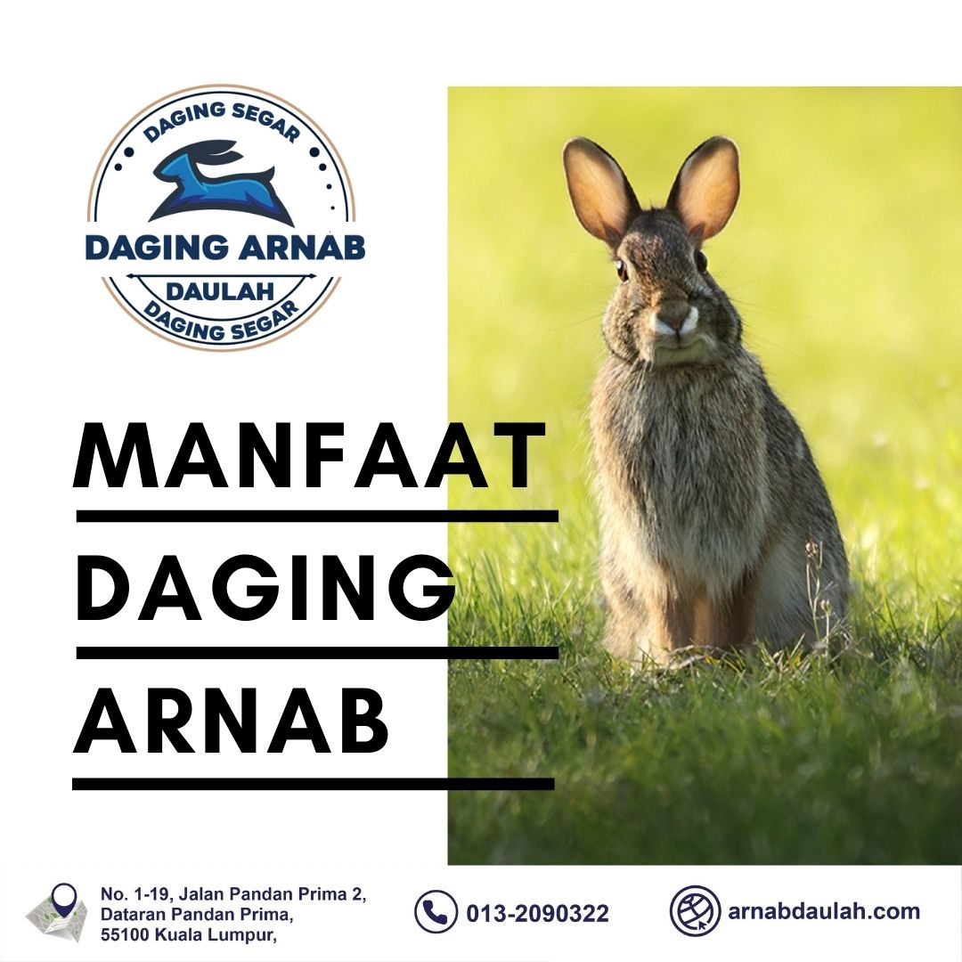 Manfaat Daging Arnab Kepada Kesihatan Manusia