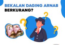 Bekalan Daging Arnab Berkurang? Dapatkannya Menerusi Arnab Daulah. arnab daulah