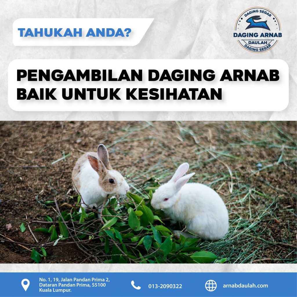 Pengambilan Daging Arnab Baik Untuk Kesihatan Deenamik