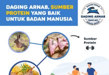 Daging Arnab, Sumber Protein Yang Baik Untuk Badan Manusia.