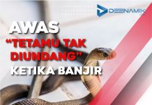 Awas ” Tetamu Tak Diundang” Ketika Bencana Banjir
