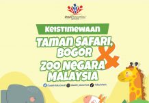Taman Safari, Bogor ada apa je? Sama macam Zoo Negara Malaysia tak? Jom tengok!