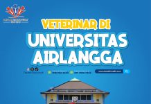 Veterinar di Universiti Airlangga