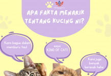 Fakta Menarik tentang Kucing | Penjaga Kucing kena ambil tahu!