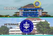 Mengapa Bidang Veterinar di Indonesia Semakin Diminati?